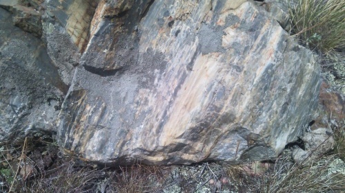 Гигантские зелёные валуны для ландшафтного дизайна весом более 5 тонн купить в Костромской области