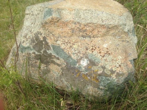 Гигантские зелёные валуны для ландшафтного дизайна весом более 5 тонн купить в Костромской области